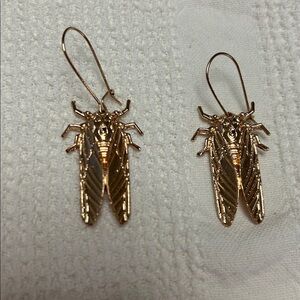 🆕 Cicada Earrings